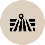 Digital Agriculture for Soils